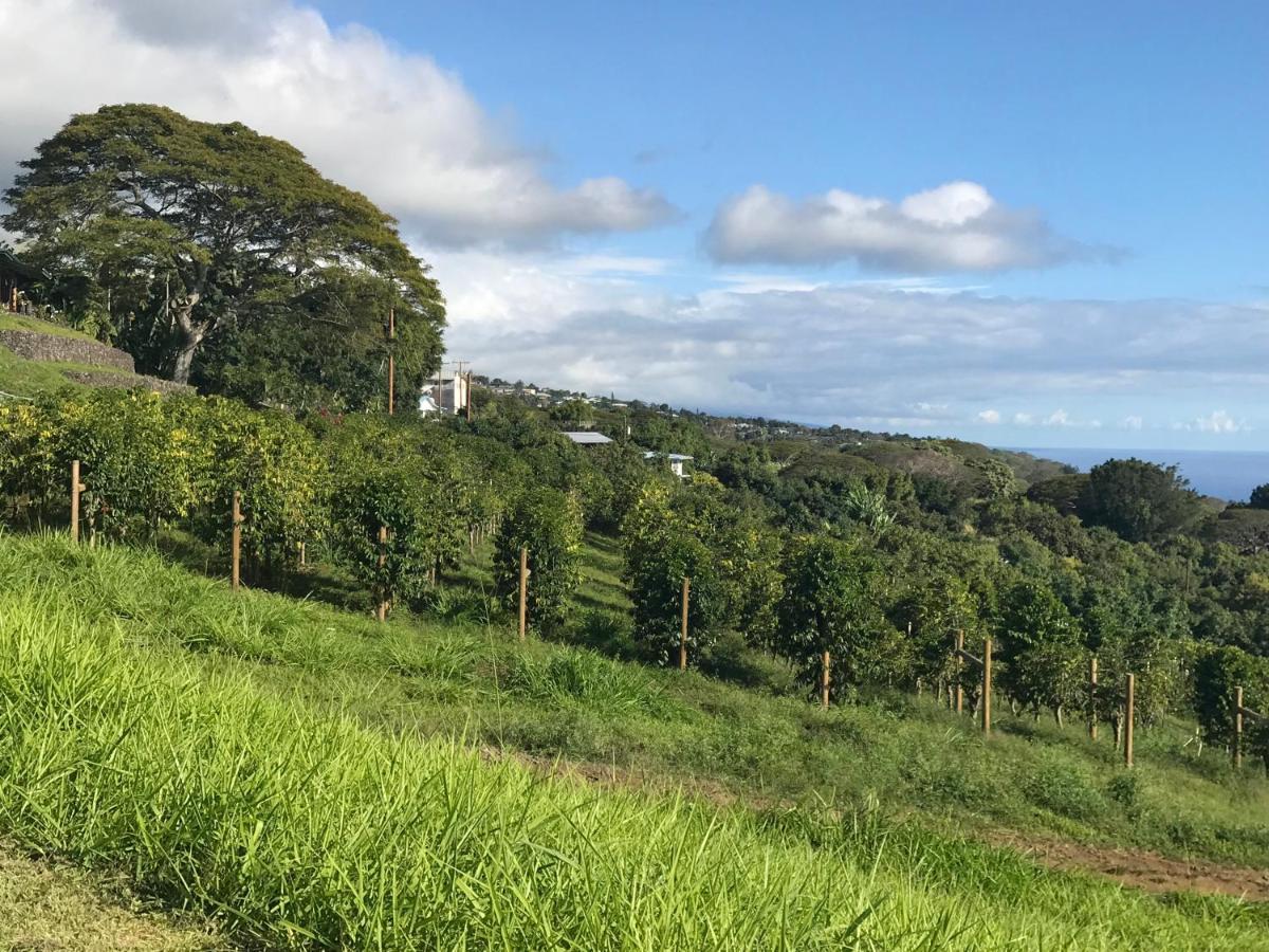 Nohokai At Kona Joe Coffee Farm Hotel Kealakekua Buitenkant foto