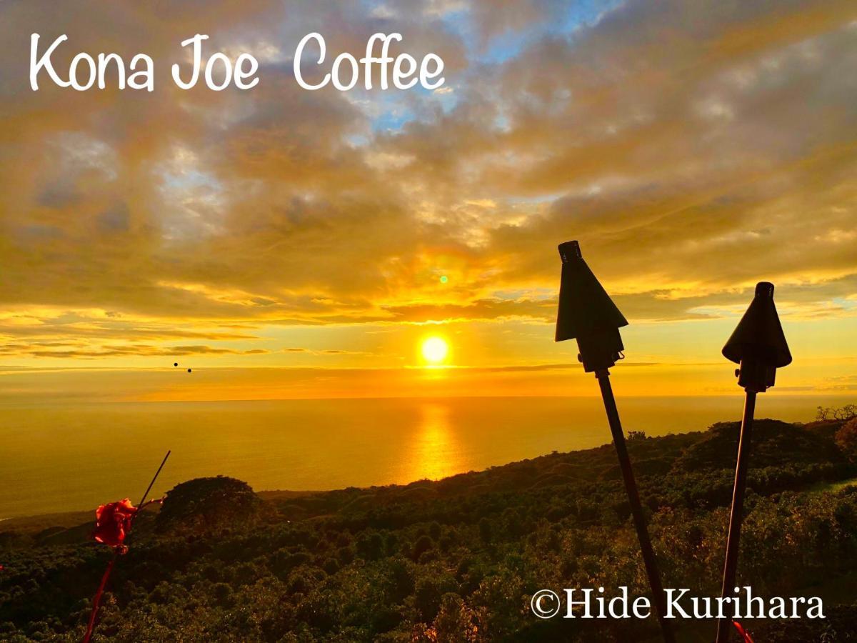 Nohokai At Kona Joe Coffee Farm Hotel Kealakekua Buitenkant foto
